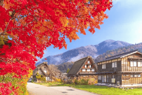 Depuis Osaka/Kyoto : Excursion d&#039;une journée à Shirakawa-go, TakaYama et Kanazawa