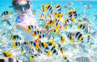 St. Martin, Excursão de Rhino Safari de 3 horas - Housity