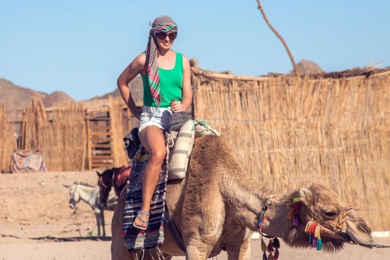 Depuis Sharm : safari en quad, parachute ascensionnel, bateau en verre et sports nautiques