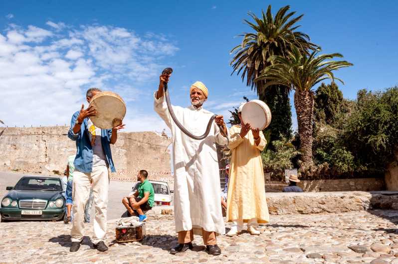 From Costa del Sol: Tangier Full-Day Tour by Ferry