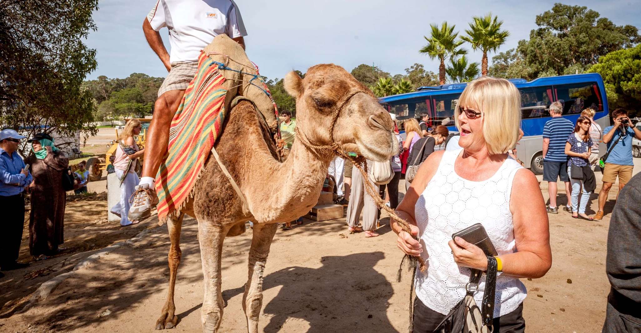 From Costa del Sol, Tangier Full-Day Tour by Ferry - Housity