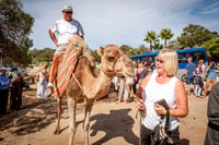 来自Costa del Sol，Tangier Full-Pay Tour by Ferry - Housity