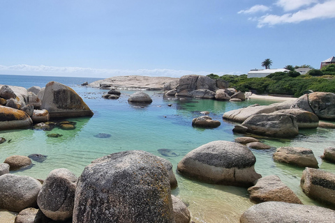Luxury Cape of Good Hope & Penguin Tour