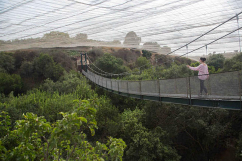 Santiago: Tricao Park i Pomaire Cultural Day TourSantiago: Park Tricao i Pomaire Cultural Day Tour