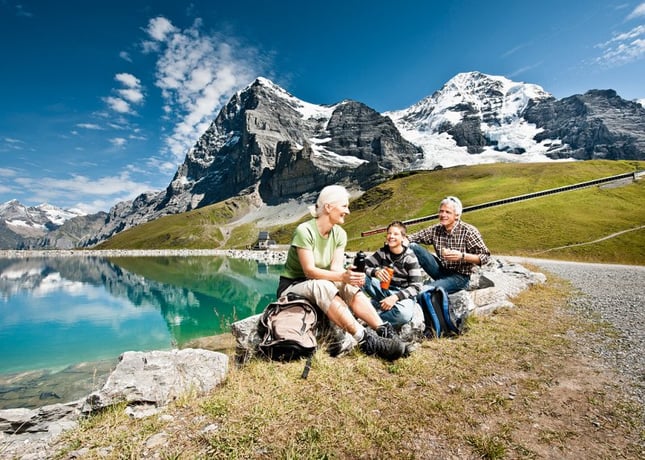 Однодневная поездка в Клейн-Шайдегг: Центр Альп