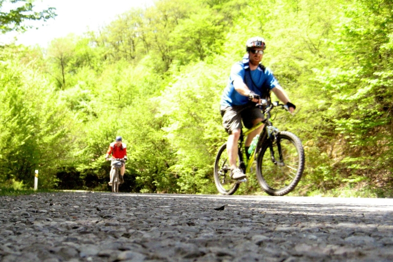 From Tbilisi: Rkoni Village Cycling Tour