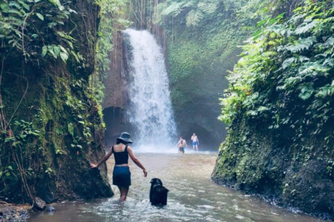 Ubud: Horse Riding, Zip-Line Tour & Manuaba Waterfall Tour Zip-Line Adventure & Manuaba Waterfall Tour