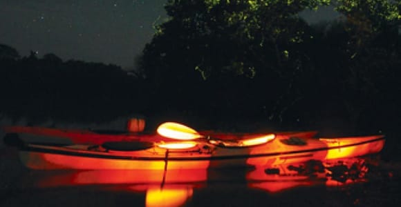 Bohol: Firefly Watching Shared Tour