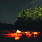 Bohol: Firefly Watching Shared Tour