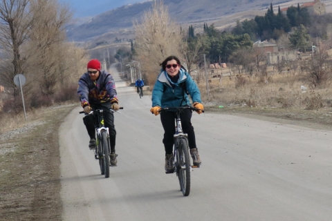 De Tbilisi: Rkoni Pueblo viaje de ciclo