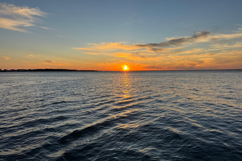 Destin: Sunset Pontoon Boat Cruise With Dolphin Watching