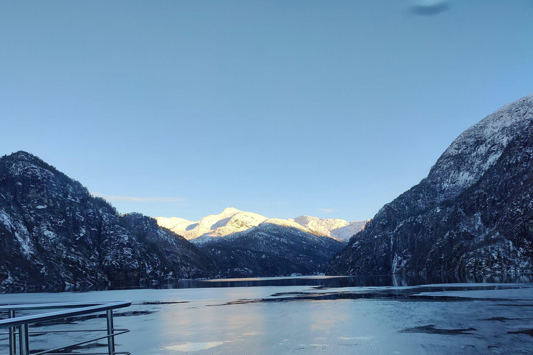 Da Bergen: Crociera panoramica sul fiordo a MostraumenDa Bergen: crociera panoramica sui fiordi per Mostraumen