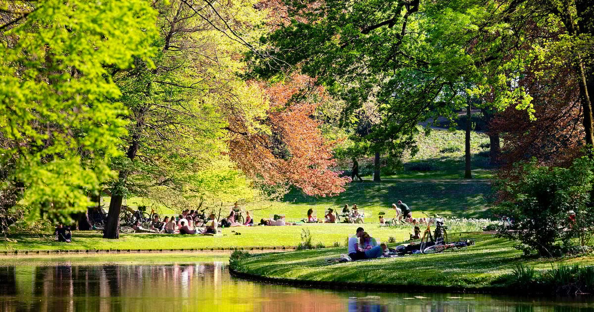 Rotterdam: Book Your (Amazing) Tour with a Local Today! | GetYourGuide