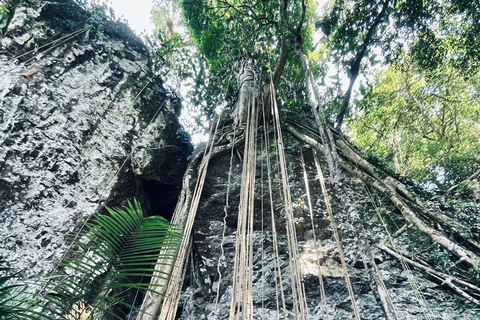 Von Da Nang/Hoi An aus: Mang Den & Kon Chu Rang Naturschutzgebiet