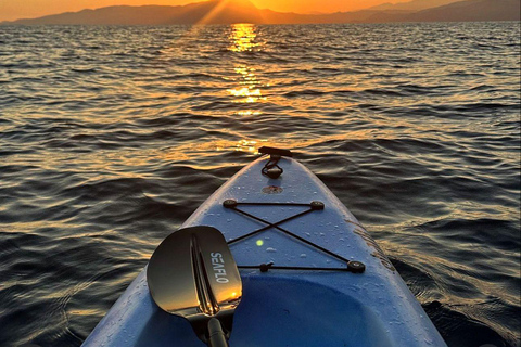 Tenerife: Tour guidato in kayak alla ricerca di tartarughe e delfini