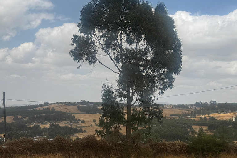 Addis Ababa: Heights, Heritage & Market Life Tour