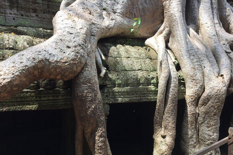 Siem Reap: Angkor Wat and Angkor Thom Private Day Trip