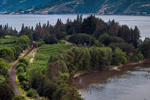 Visite privée du Mont Hood et du fleuve Columbia au départ de Portland