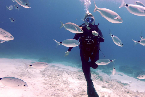 Malta, Duiken met instructeur