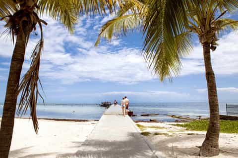 From Miami: Key West Bus Tour