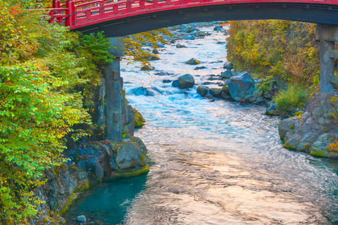 Nikko Private Day Trip with English Driver-Guide From Tokyo Nikko Private Day Trip with English Driver-Guide