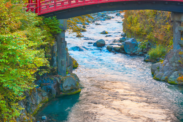 Nikko Private Day Trip with English Driver-Guide From Tokyo Nikko Private Day Trip with English Driver-Guide