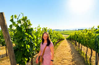 Ab Siena: Chianti-Weintour mit Schlossbesichtigung und Verkostungen