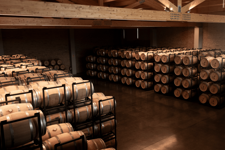 La Rioja: CM Matarromera Winery Tour