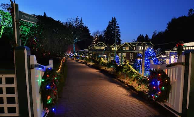 the butchart gardens holiday lights tour
