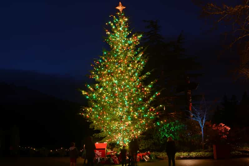 Immagini Natalizie Che Si Muovono.Tour Delle Luci Natalizie Dei Butchart Gardens Victoria Columbia Britannica Canada Getyourguide