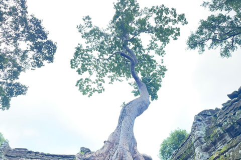 7-Day Cambodia Adventure: Angkor Temples, Kulen & Battambang