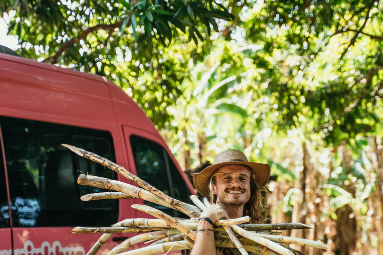 Traslado de Manuel Antonio para San Jose