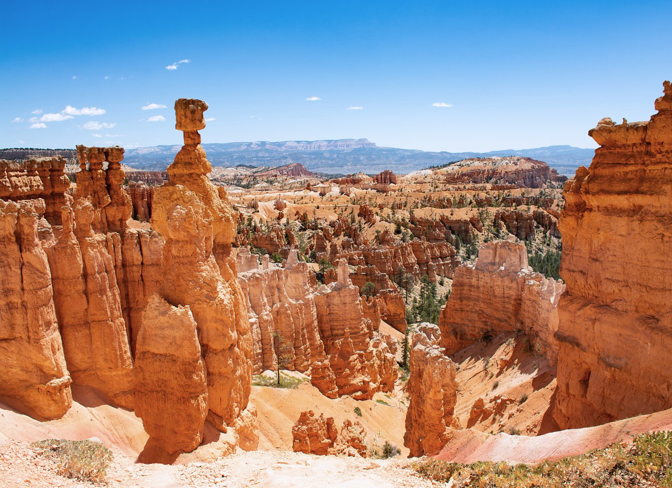 Bryce Canyon National Park: Guidet ATV/RZR-tur