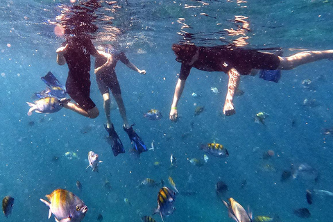 San Jose del Cabo Snorkeling Tour