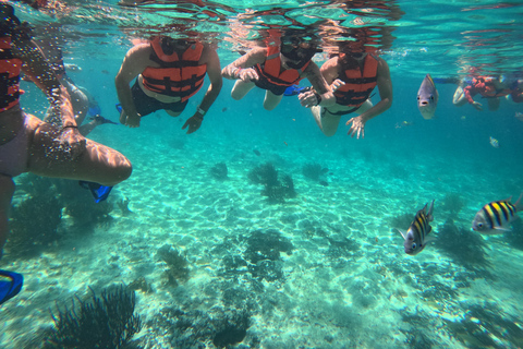 Isla Mujeres: Snorkel tour in 3 spots, Underwater Museum, and reefs! Isla Mujeres: Snorkeling tour in 3 spots, Underwater Museum and reefs!