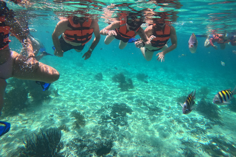 Isla Mujeres: Snorkel tour in 3 spots, Underwater Museum, and reefs! Isla Mujeres: Snorkeling tour in 3 spots, Underwater Museum and reefs!