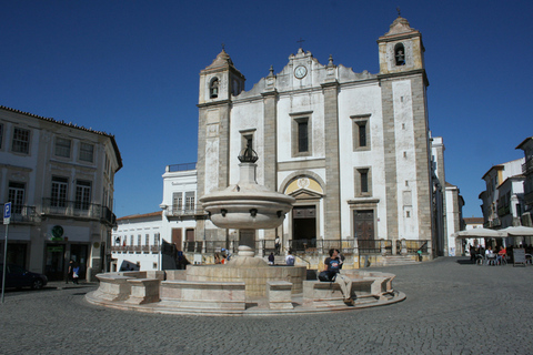 De Lisboa: Excursão de 1 Dia a Évora e MegálitosDe Lisboa: Excursão Particular de 1 Dia a Évora e Megálitos