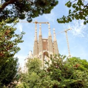 Barcellona: Barcelona Card per 25 musei e trasporti pubblici gratuiti
