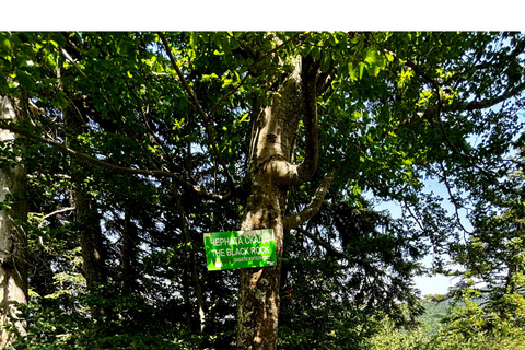 Montagna di Rila, PICCOLO GRUPPO, tour da SofiaTour a piedi del monte Rila da Sofia