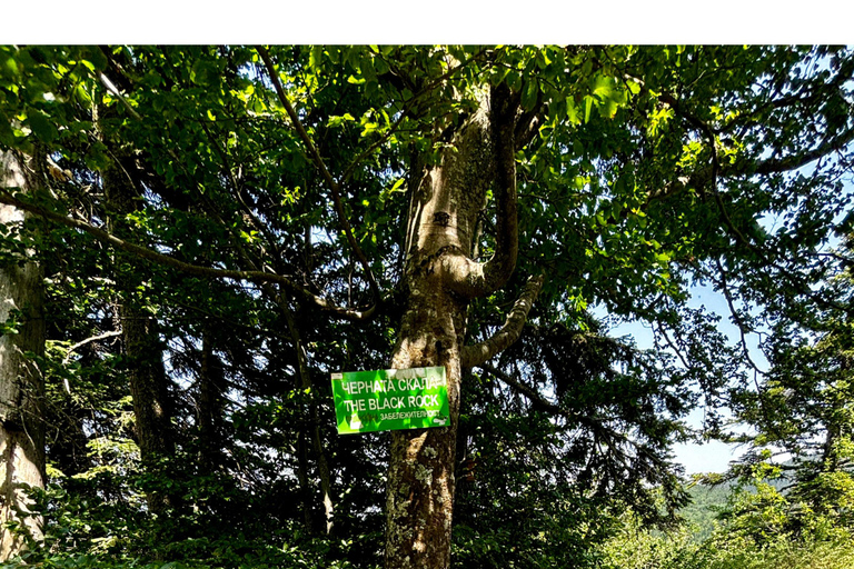 Montagna di Rila, PICCOLO GRUPPO, tour da SofiaTour a piedi del monte Rila da Sofia