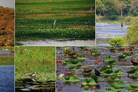 Sri Lanka: Viaje de 12 días para descubrir su rico patrimonio