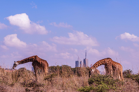 Nairobi: National Park Private Tour with Lunch at Carnivore Nairobi: National Park Private Tour without Lunch