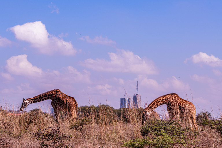 Nairobi: National Park Private Tour with Lunch at Carnivore Nairobi: National Park Private Tour without Lunch
