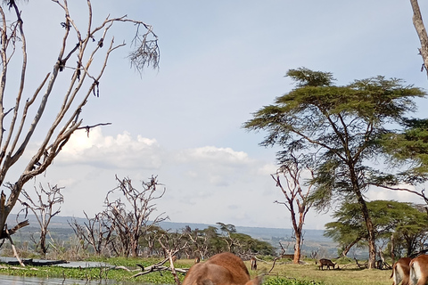 "Lake Naivasha Day Trip & Scenic Boat Ride Adventure"