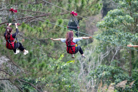 Zanzibar: Masingini Forest, Monkeys & Zipline adventure Masingini Forest, Monkeys & Zipline adventure & transfer