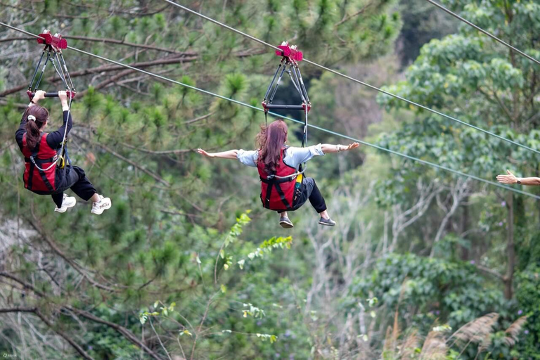 Zanzibar: Masingini Forest, Monkeys & Zipline adventure Masingini Forest, Monkeys & Zipline adventure & transfer