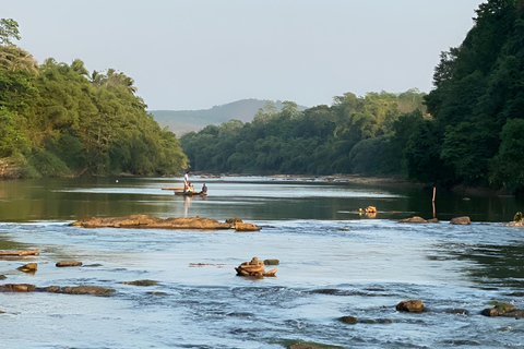 Private Driver: Kelaniya Temple & River View Scenic Ride