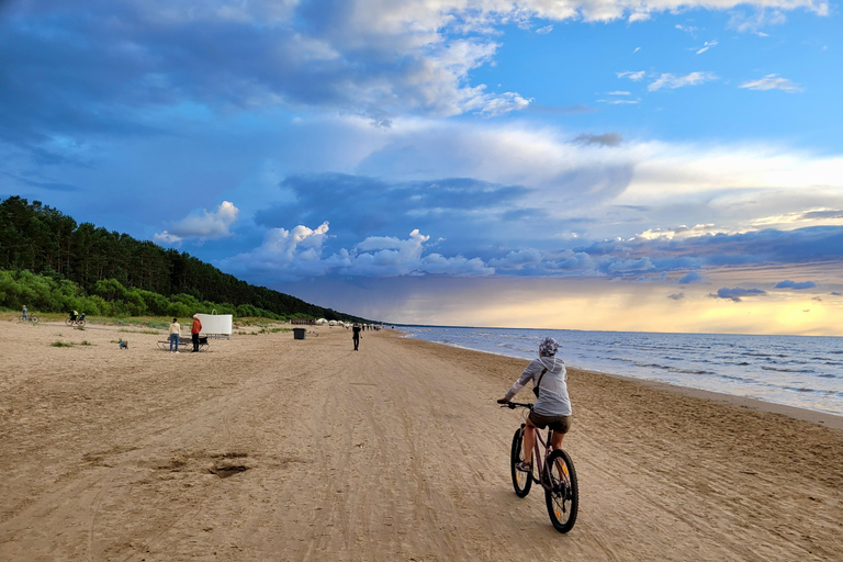 Ķemeri Great Bog With Optional Sunrise & Jūrmala Visit Ķemeri Bog Shared Small Group Tour