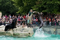 Viena, boletos de salto para el zoológico Schönbrunn - Housity