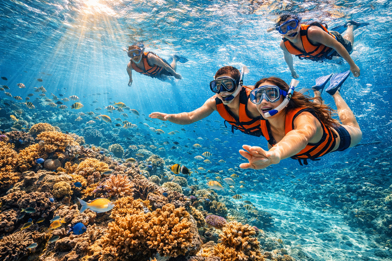 Cebu: Whale Sharks, Sumilon Sandbar & Snorkeling Tour